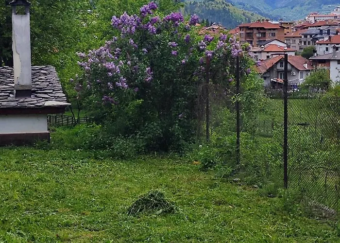 Сияние